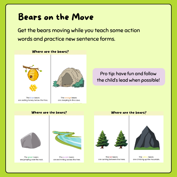 Bears & Chairs - Extension Resources