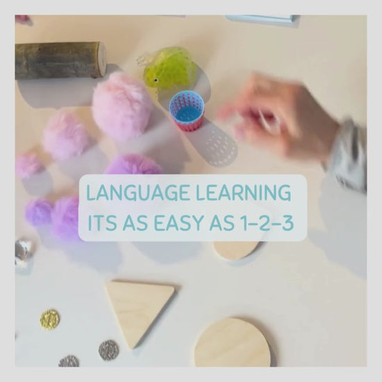 We make language learning as easy as 1-2-3. Work on receptive language first by being the speaker and then switch roles so the child can practice their expressive language.